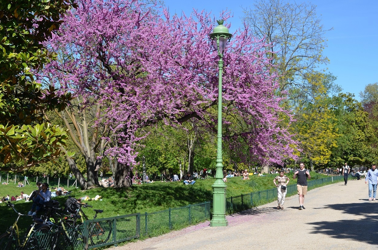 Parc Monceau